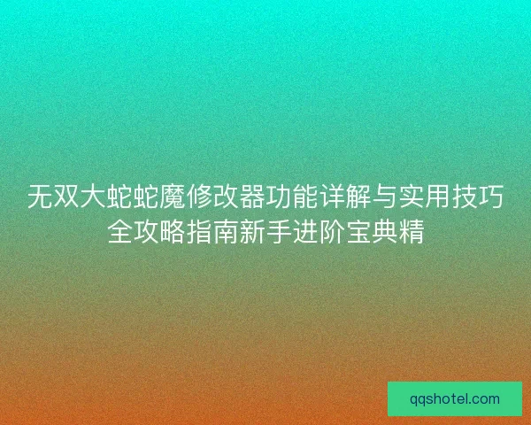 无双大蛇蛇魔修改器功能详解与实用技巧全攻略指南新手进阶宝典精